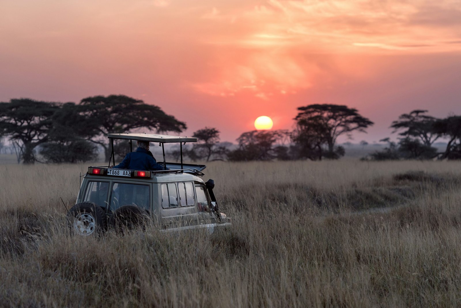 Sunrise over the Serengeti plains