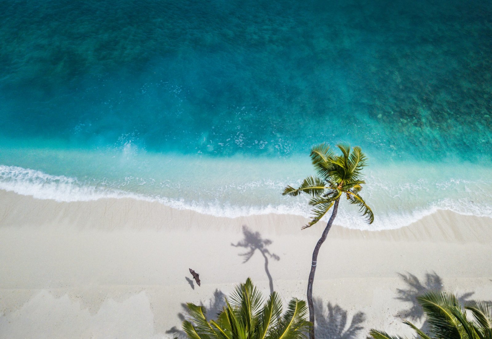 Turquoise beach waters in Zanzibar