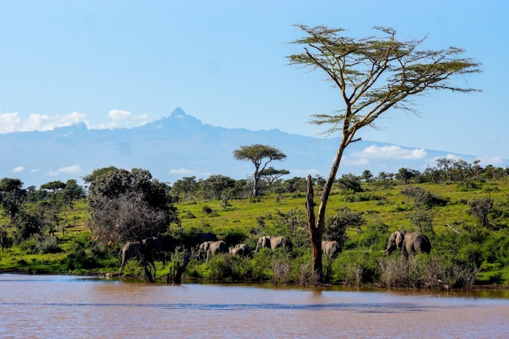 Elephants at a watering hole, characteristic of Lake Manyara National Park, Tanzania