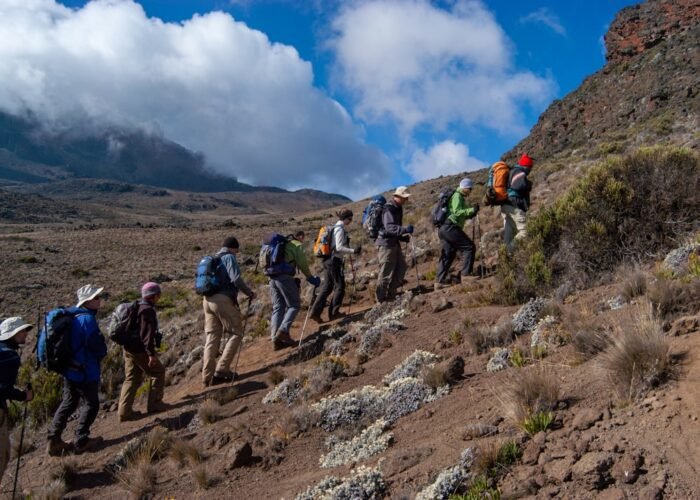 Hikers on a volcanic mountain trail, characteristic of Mount Elgon National Park hiking terrain, Uganda