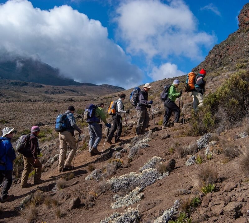 Hikers on a volcanic mountain trail, characteristic of Mount Elgon National Park hiking terrain, Uganda