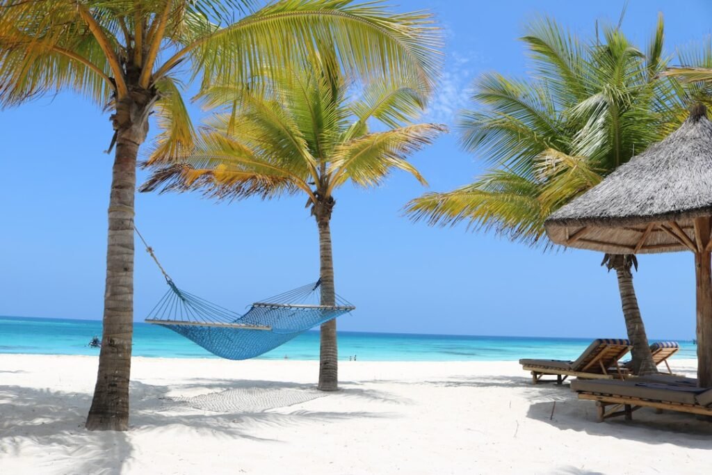 Palm-lined turquoise beach in Zanzibar