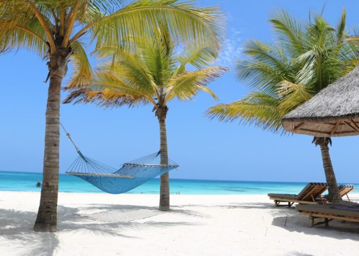 Palm-lined turquoise beach in Zanzibar