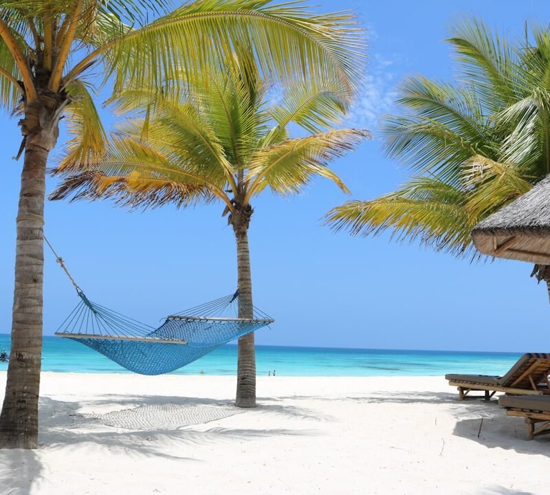 Palm-lined turquoise beach in Zanzibar